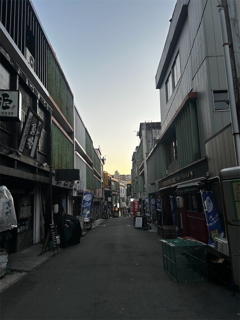 f:id:Magnoliarida:20260110194851j:image f:id:Magnoliarida:20260110194851j:image