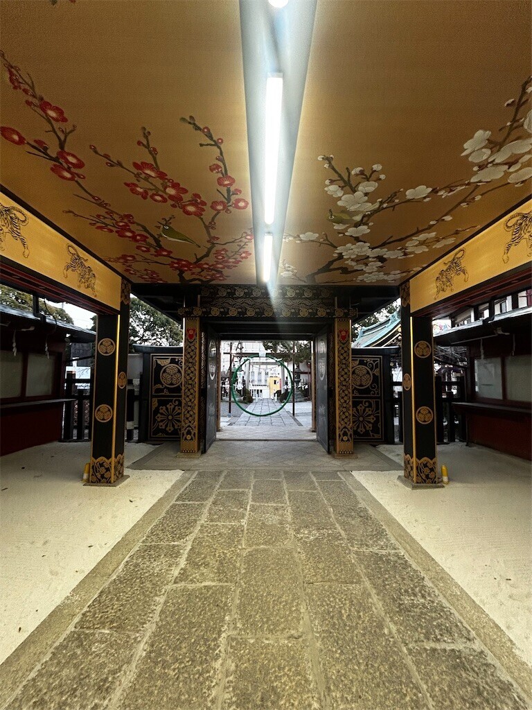 f:id:Magnoliarida:20260110200601j:image f:id:Magnoliarida:20260110200601j:image