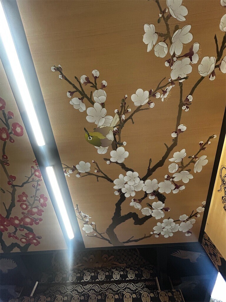 f:id:Magnoliarida:20260110200633j:image f:id:Magnoliarida:20260110200633j:image