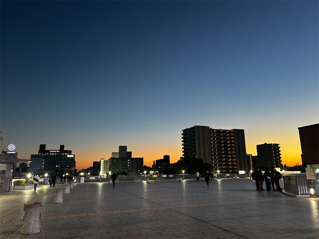 f:id:Magnoliarida:20260110200732j:image f:id:Magnoliarida:20260110200732j:image