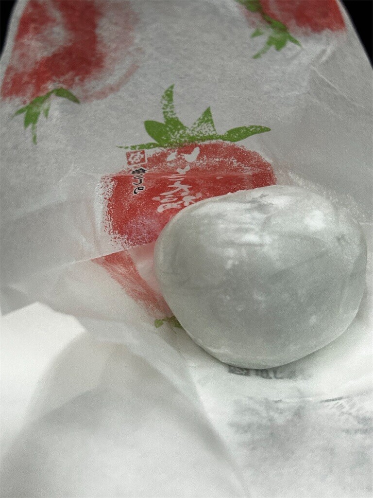 f:id:Magnoliarida:20260110200915j:image f:id:Magnoliarida:20260110200915j:image