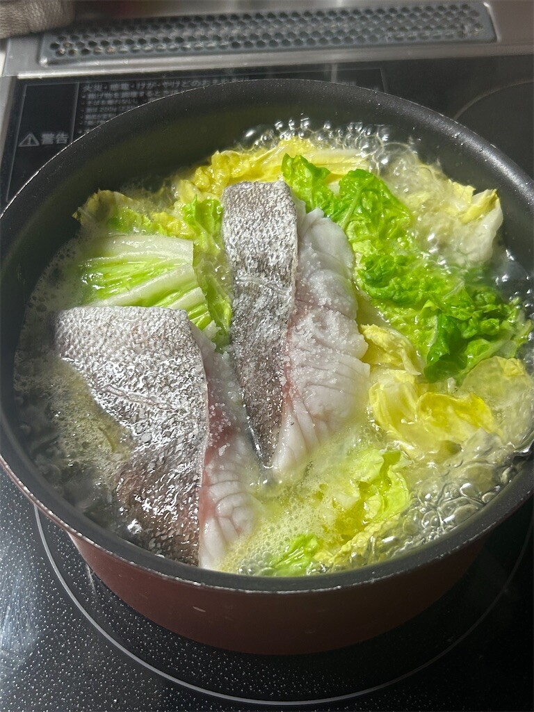 f:id:Magnoliarida:20260114073010j:image