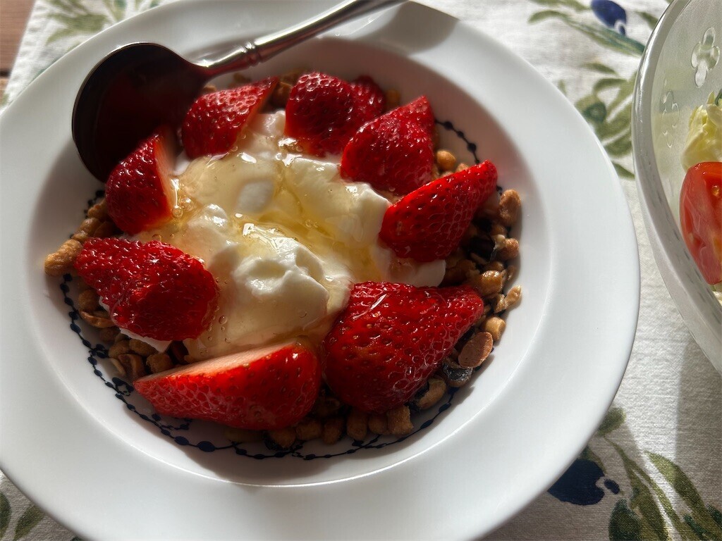 f:id:Magnoliarida:20260130103841j:image f:id:Magnoliarida:20260130103841j:image