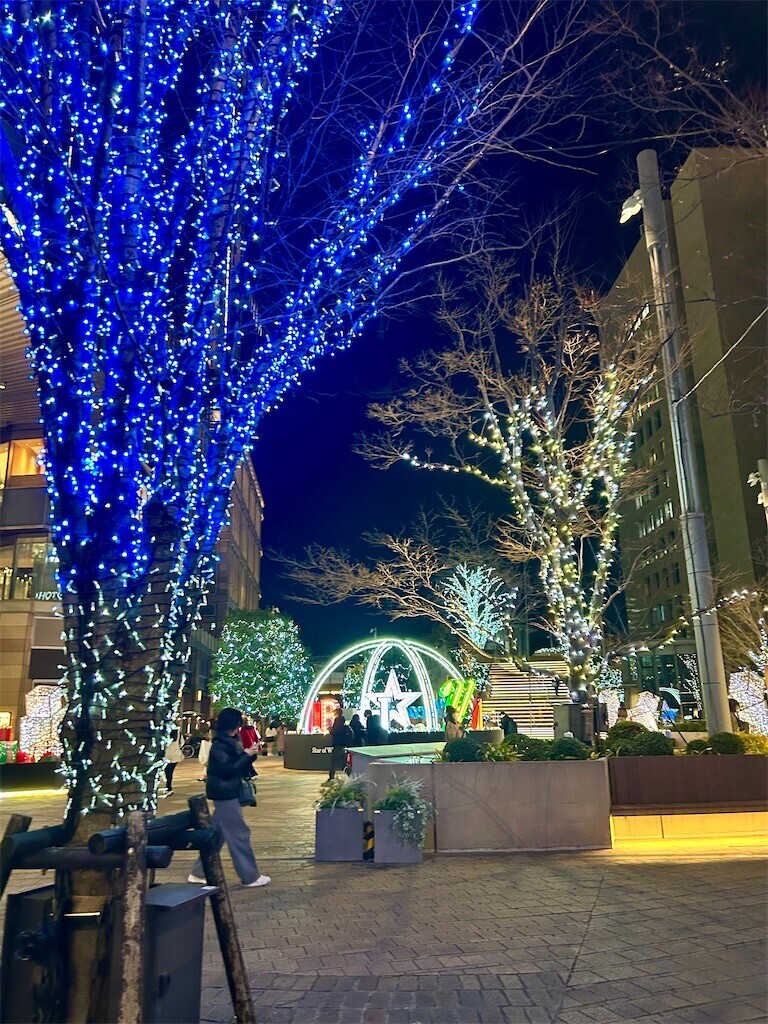 f:id:Magnoliarida:20260131102623j:image