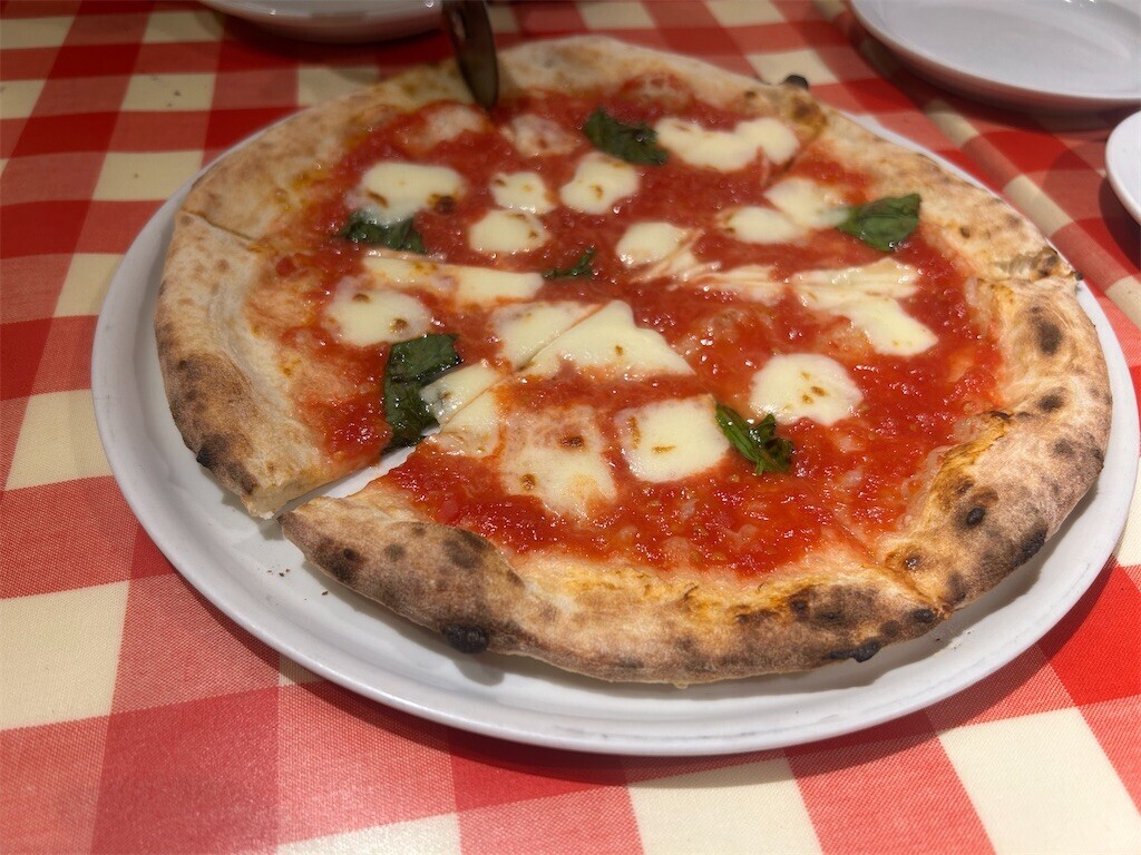 f:id:Magnoliarida:20260201201001j:image f:id:Magnoliarida:20260201201001j:image