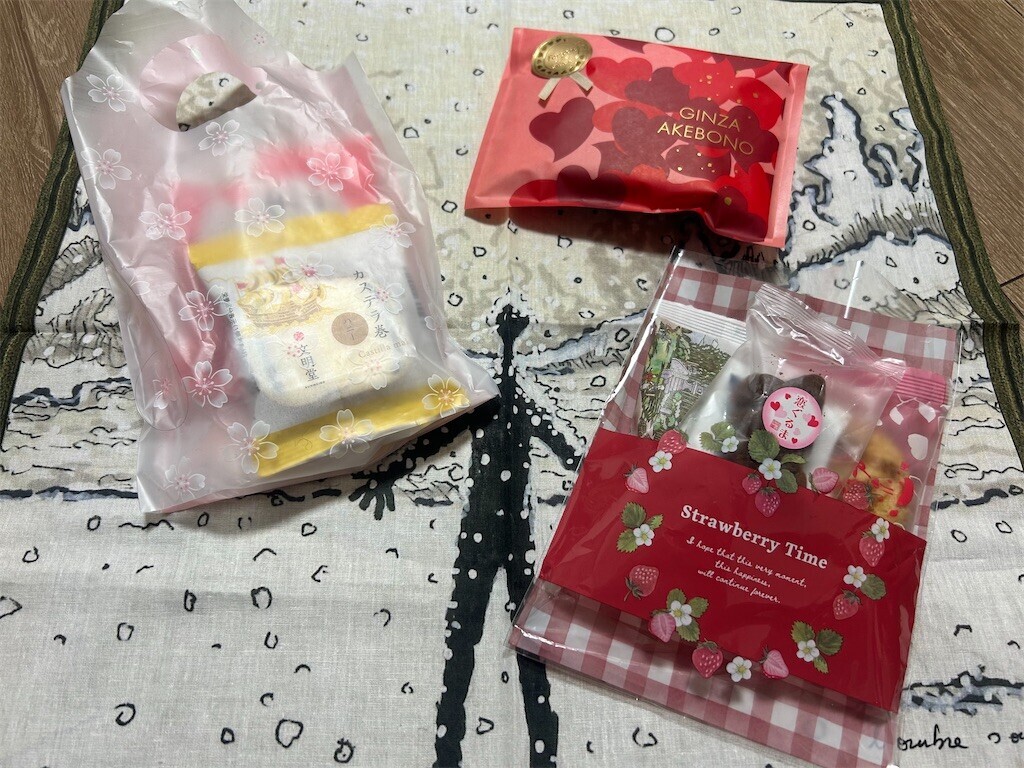 f:id:Magnoliarida:20260201201021j:image f:id:Magnoliarida:20260201201021j:image