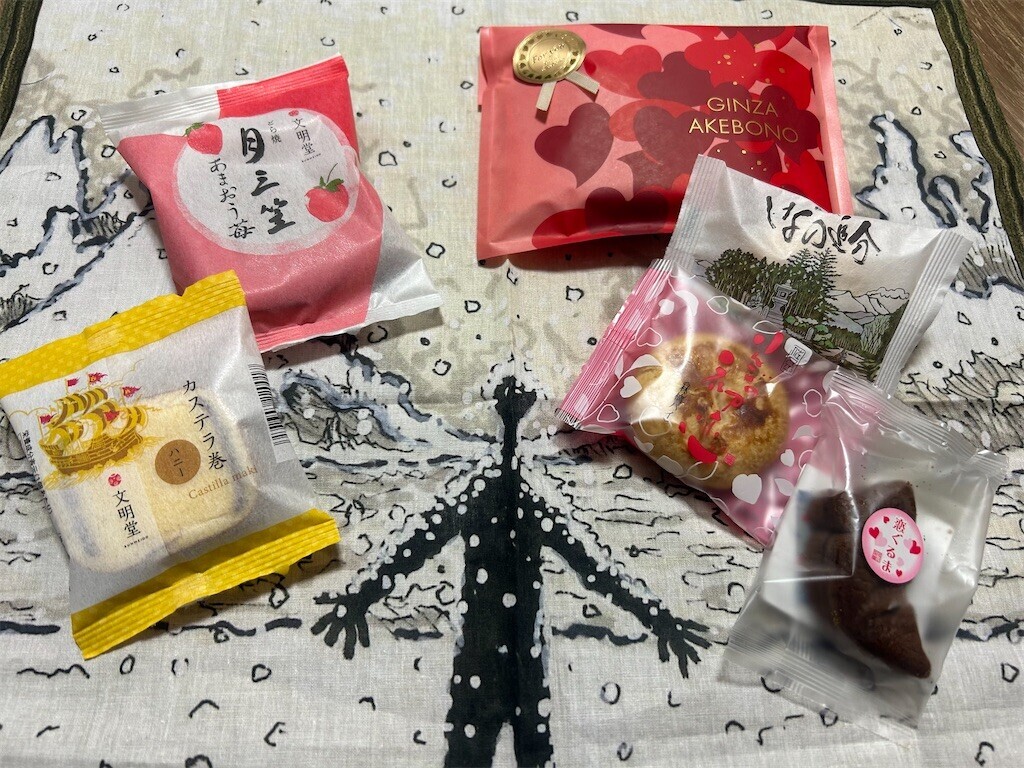 f:id:Magnoliarida:20260201201025j:image f:id:Magnoliarida:20260201201025j:image