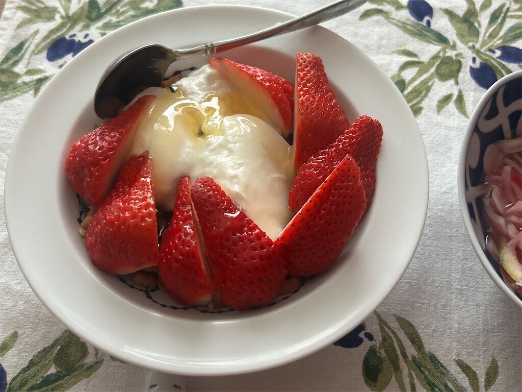 f:id:Magnoliarida:20260203085102j:image f:id:Magnoliarida:20260203085102j:image