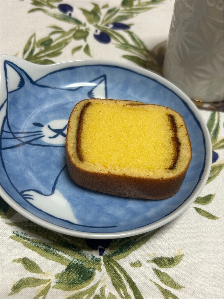 f:id:Magnoliarida:20260203205329j:image