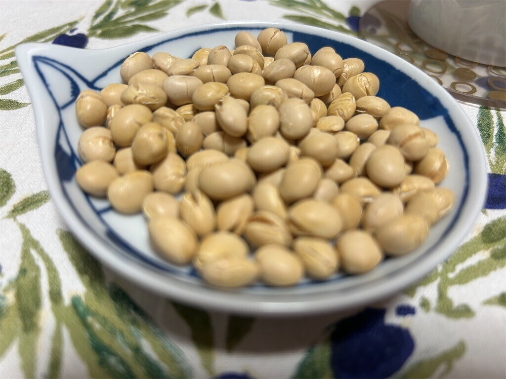 f:id:Magnoliarida:20260203211652j:image