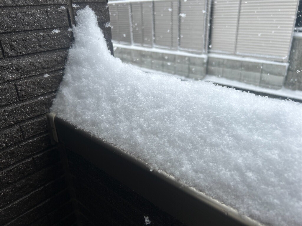雪よ この世の悲しみを全部深く深く埋めてしまえ - ほらほらコーヒーが