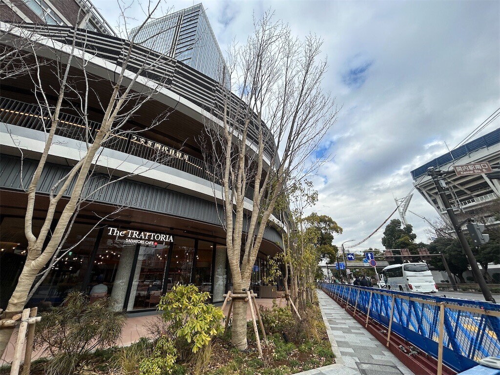 f:id:Magnoliarida:20260218083021j:image f:id:Magnoliarida:20260218083021j:image