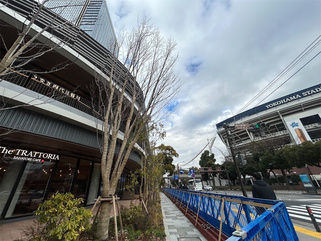 f:id:Magnoliarida:20260218083024j:image f:id:Magnoliarida:20260218083024j:image