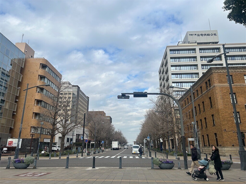 f:id:Magnoliarida:20260218083028j:image f:id:Magnoliarida:20260218083028j:image