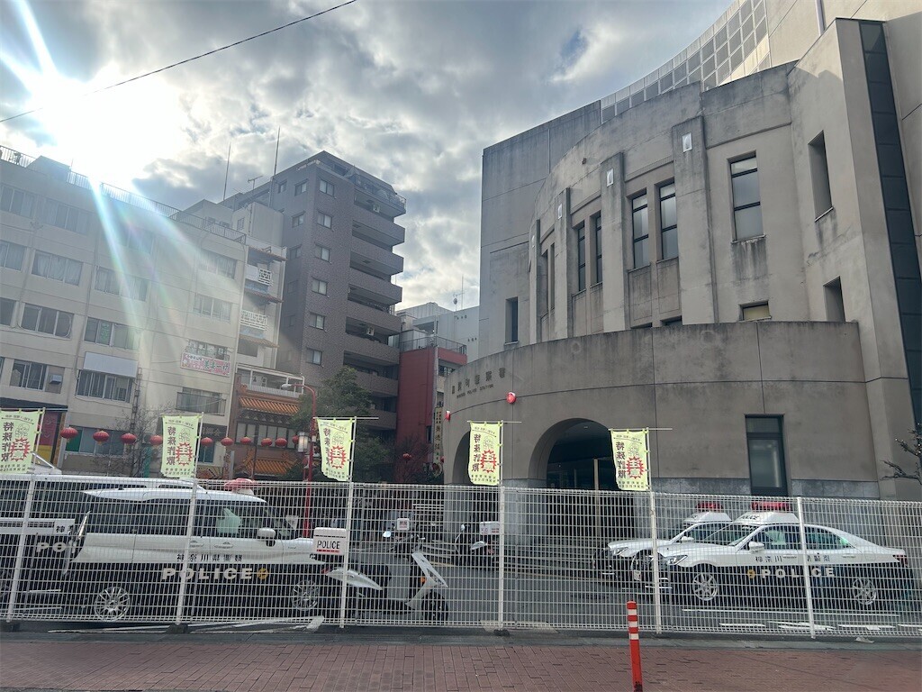 f:id:Magnoliarida:20260218083242j:image f:id:Magnoliarida:20260218083242j:image