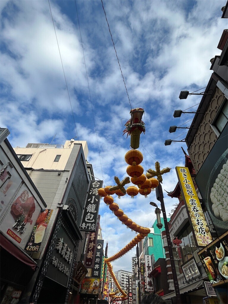 f:id:Magnoliarida:20260218083448j:image f:id:Magnoliarida:20260218083448j:image