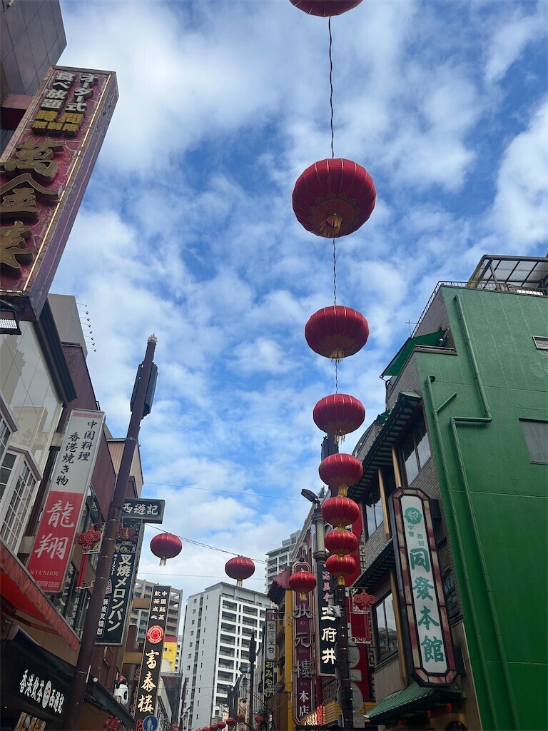 f:id:Magnoliarida:20260218083955j:image f:id:Magnoliarida:20260218083955j:image