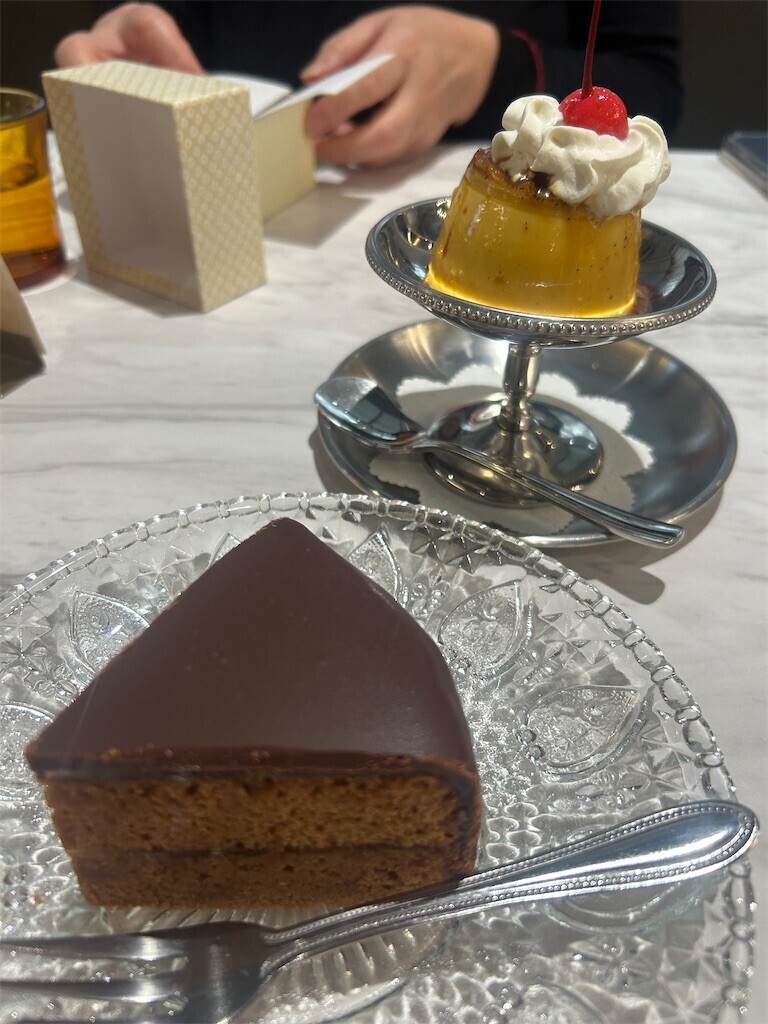 f:id:Magnoliarida:20260218084837j:image f:id:Magnoliarida:20260218084837j:image