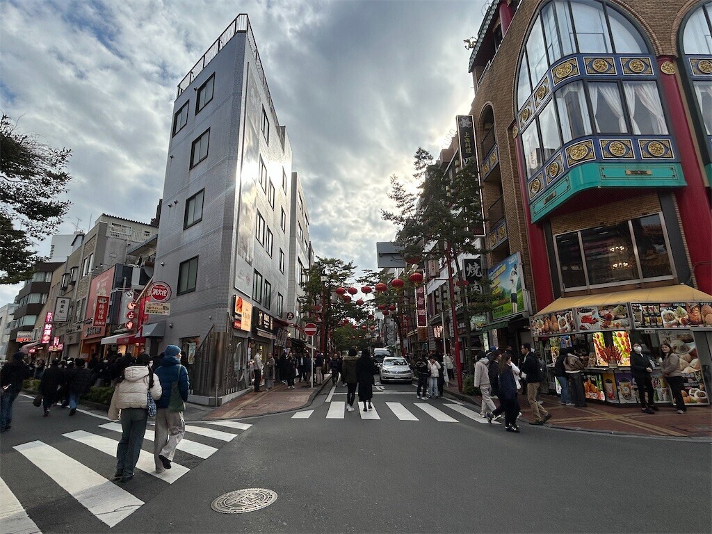 f:id:Magnoliarida:20260218091056j:image f:id:Magnoliarida:20260218091056j:image