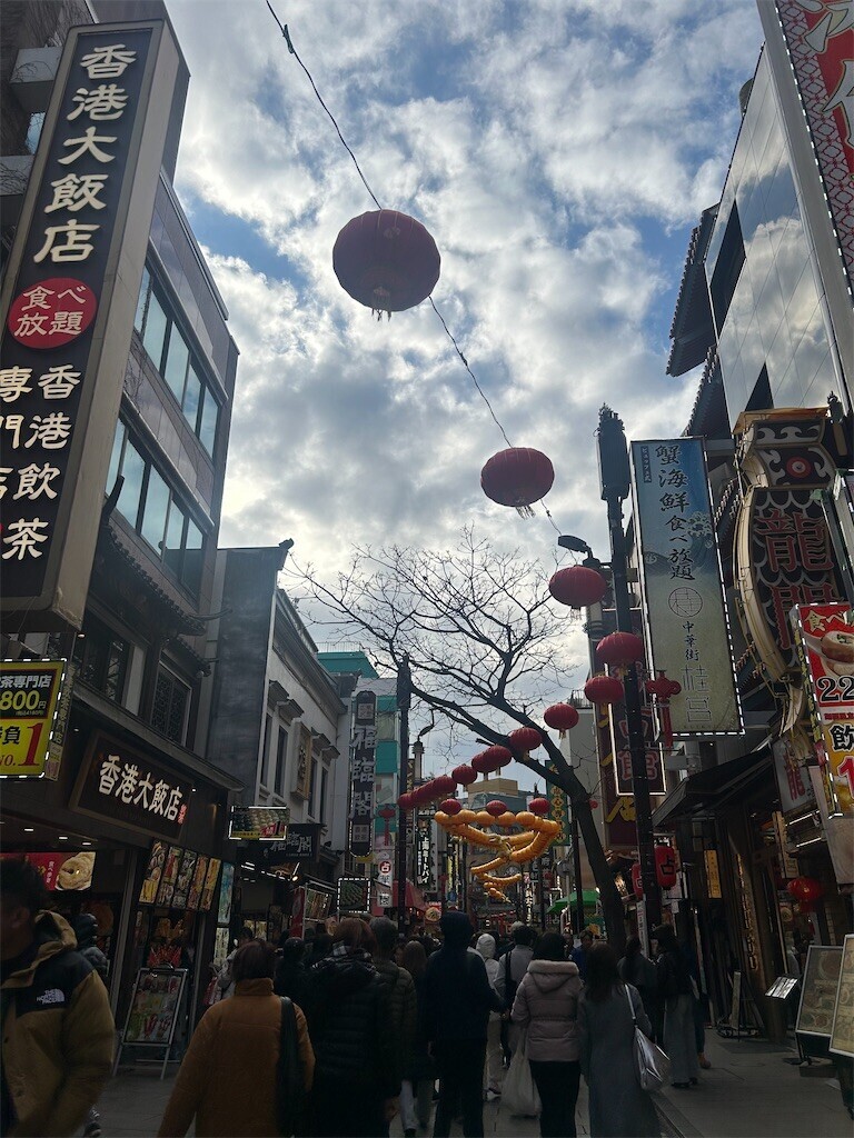 f:id:Magnoliarida:20260218095247j:image f:id:Magnoliarida:20260218095247j:image