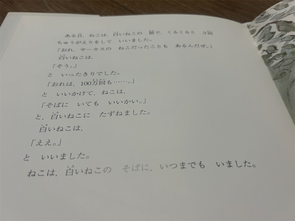 f:id:Magnoliarida:20260302232943j:image