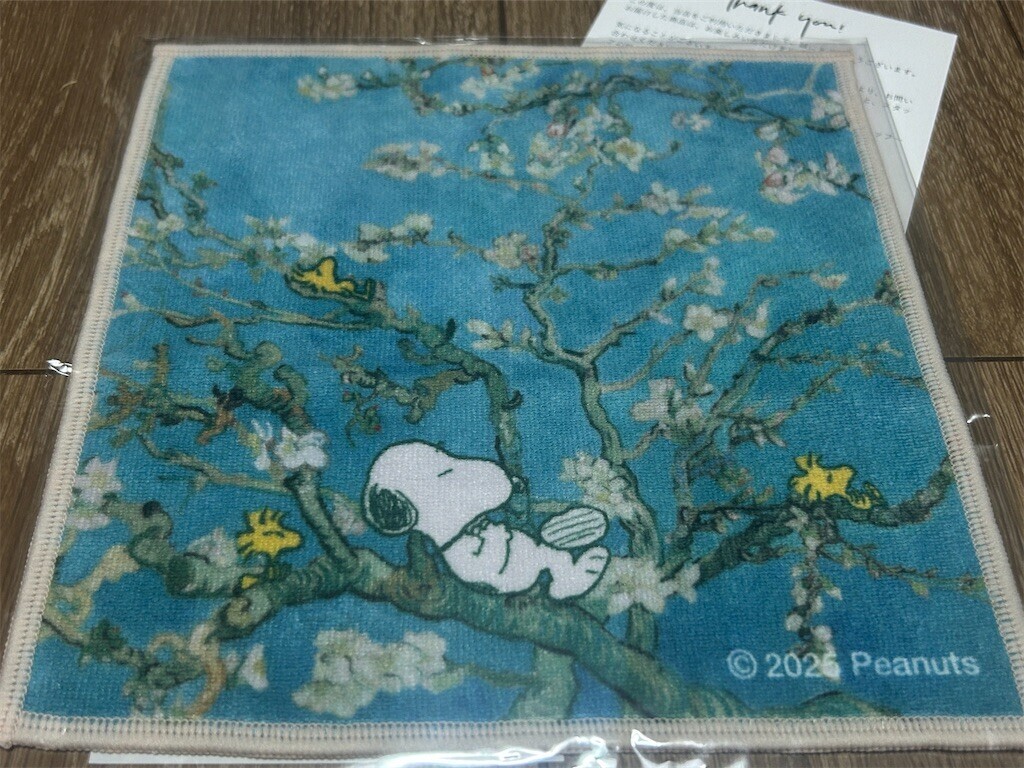 f:id:Magnoliarida:20260911223036j:image f:id:Magnoliarida:20260911223036j:image