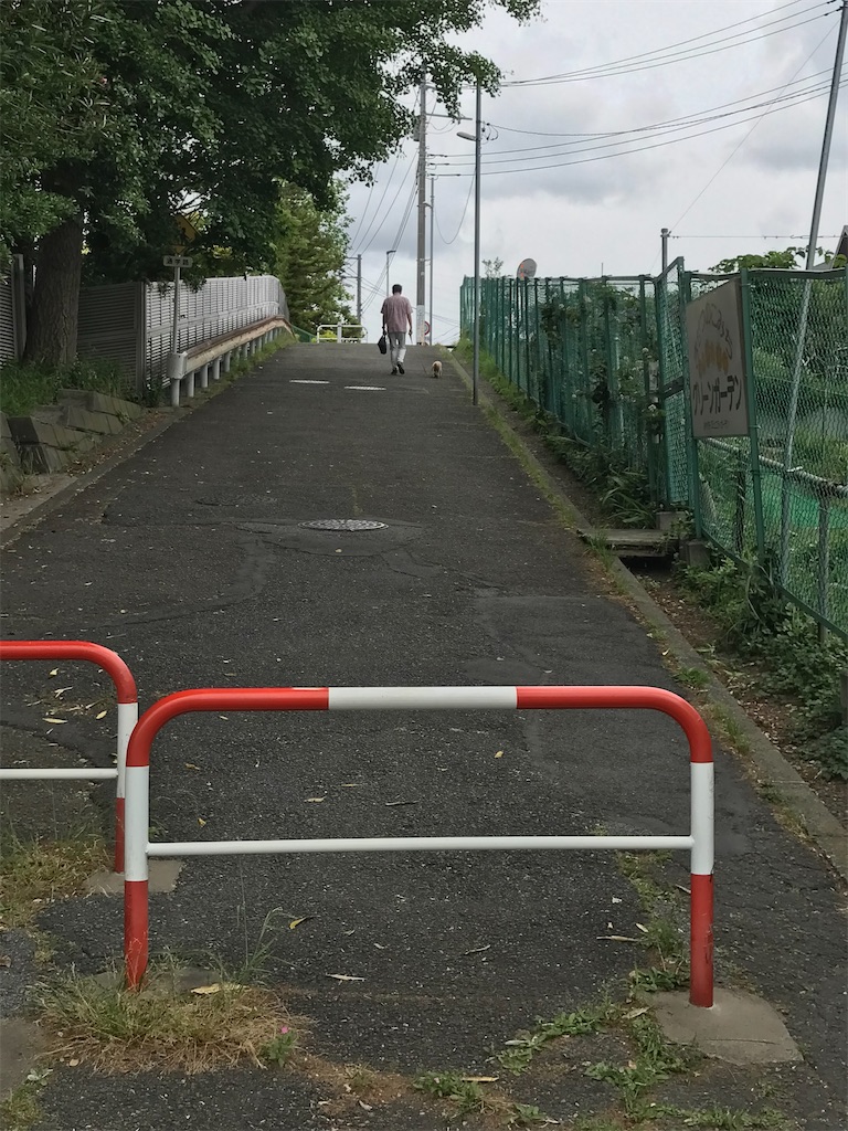 f:id:Magnu_AJITO:20200531133201j:image