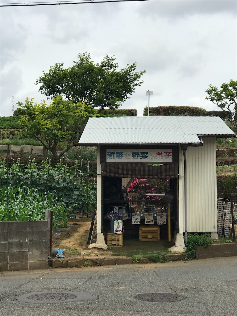 f:id:Magnu_AJITO:20200531133652j:image