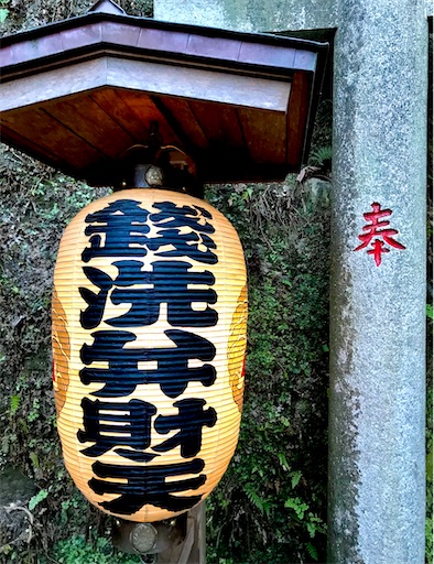 f:id:Magurox:20210606211437j:image