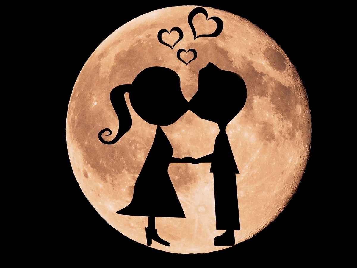 f:id:MahiRoom:20200727140158j:plain f:id:MahiRoom:20200727140158j:plain