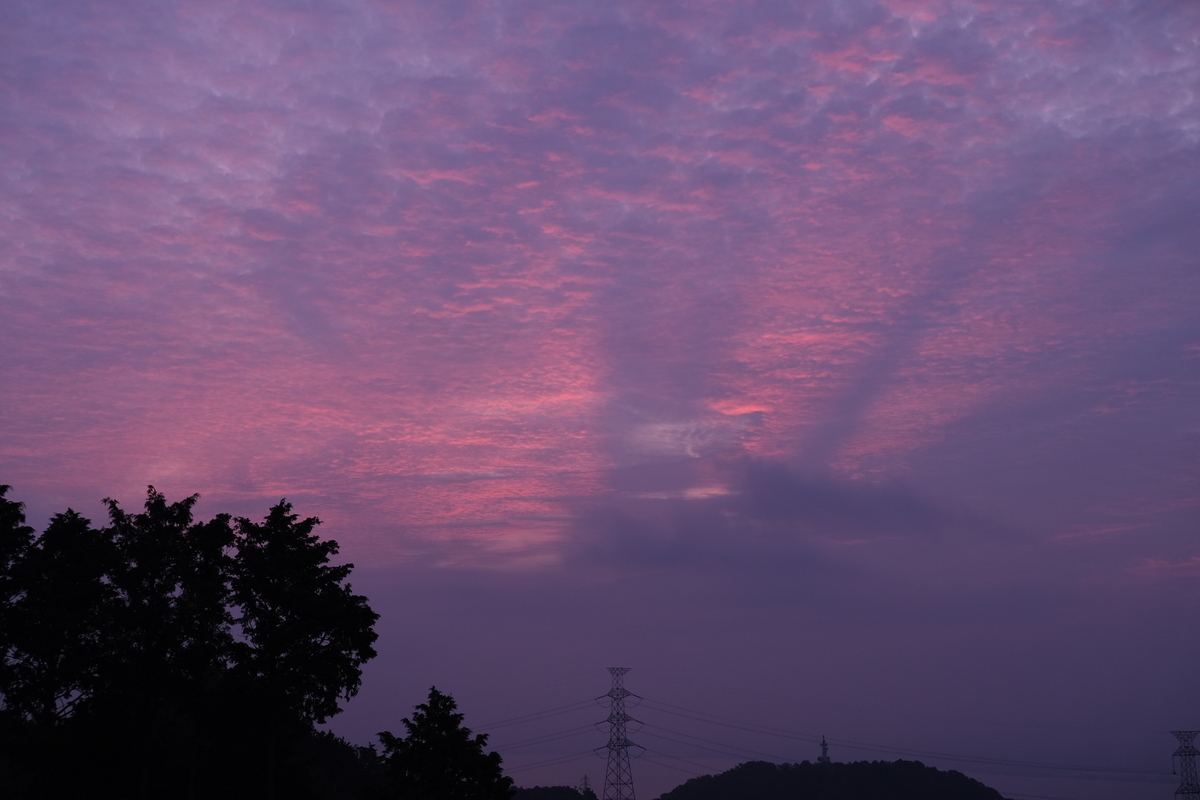 f:id:MahiRoom:20200807102212j:plain f:id:MahiRoom:20200807102212j:plain
