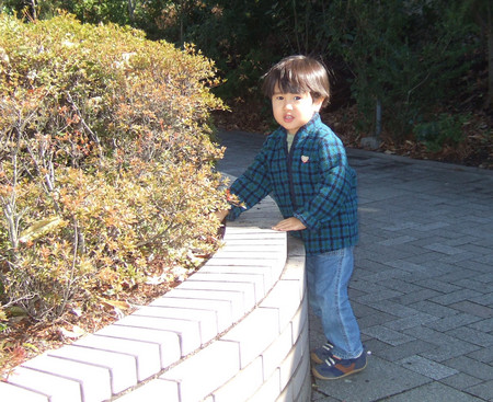 f:id:Mahomaho:20080201115850j:image f:id:Mahomaho:20080201115850j:image