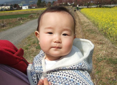 f:id:Mahomaho:20080316105731j:image f:id:Mahomaho:20080316105731j:image