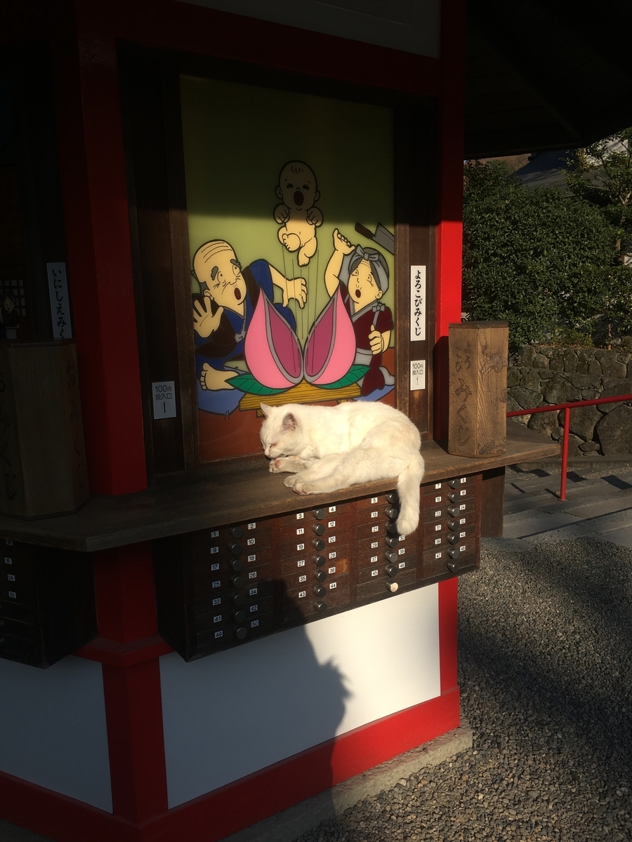 f:id:Mai_Macky:20191231004315j:plain