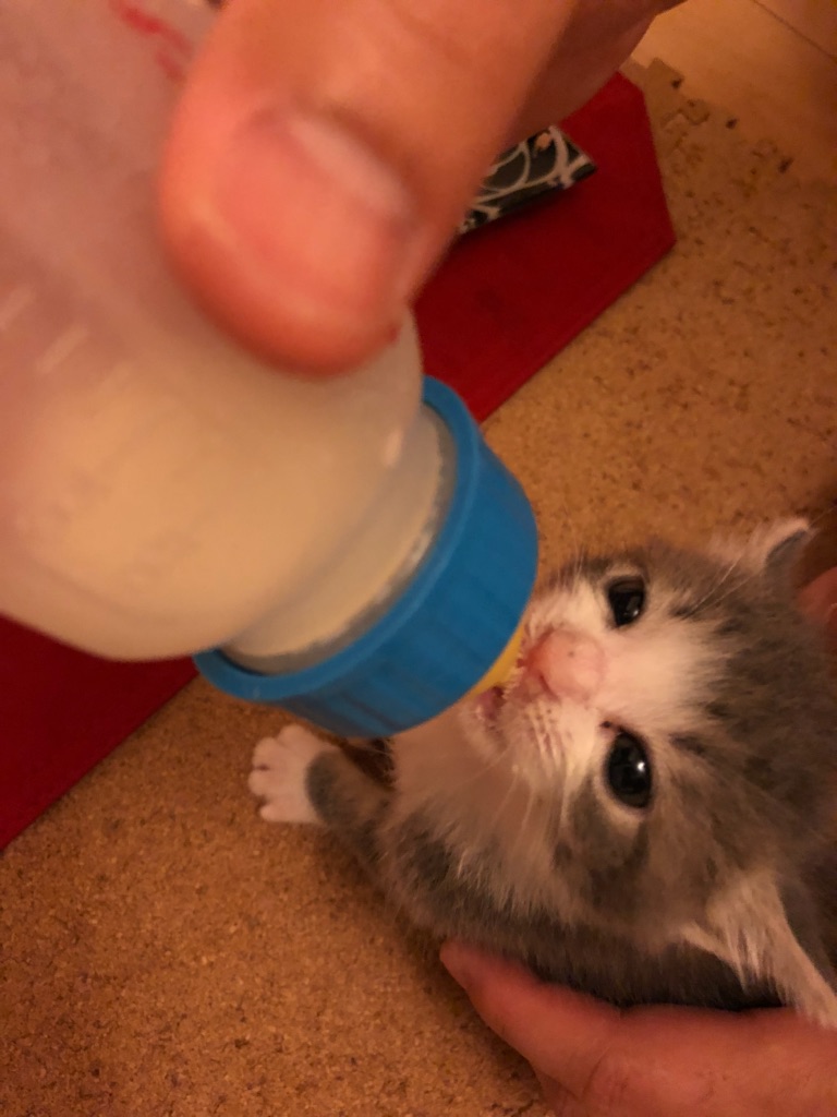 f:id:MaisonDeRemodeNIKI:20180711123827j:plain f:id:MaisonDeRemodeNIKI:20180711123827j:plain
