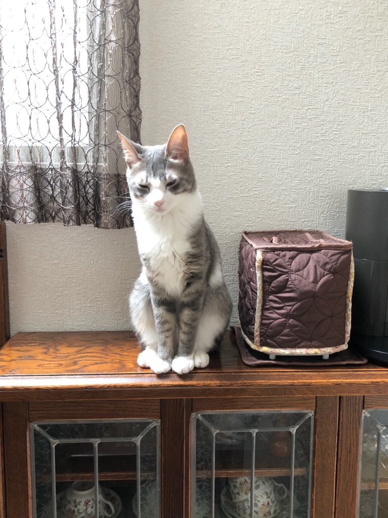 f:id:MaisonDeRemodeNIKI:20190808204641j:plain f:id:MaisonDeRemodeNIKI:20190808204641j:plain
