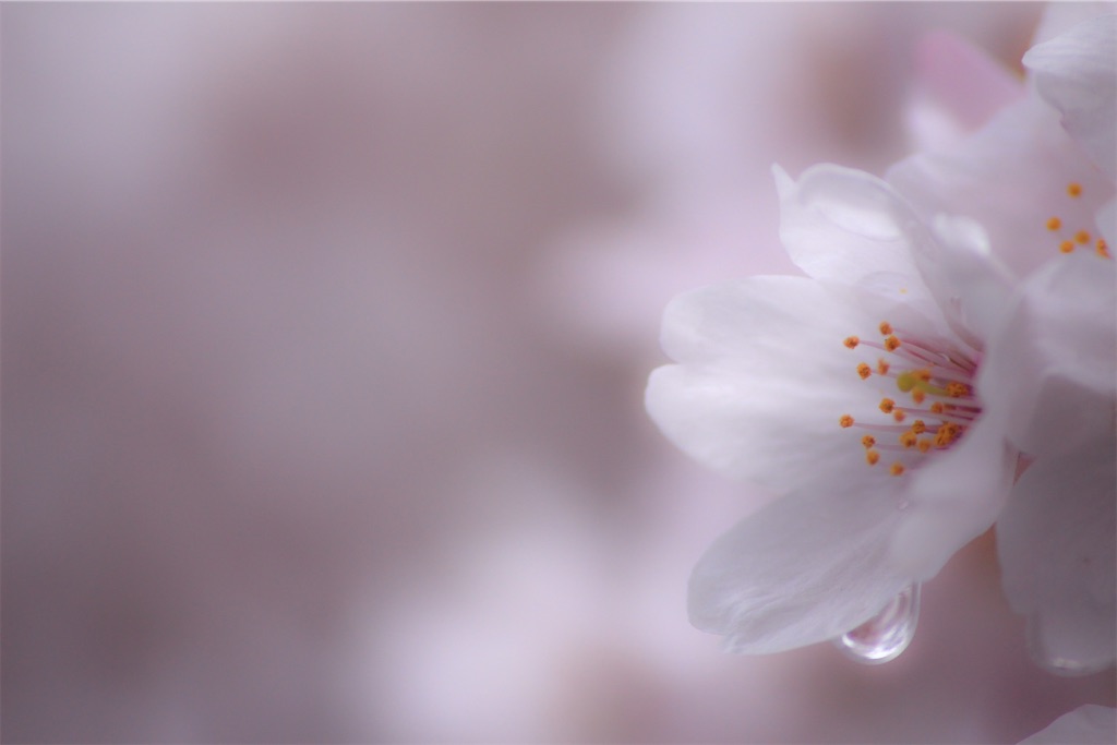 f:id:Majestic_Yamada:20210723235124j:plain