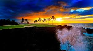 f:id:Makana:20170126163512j:plain f:id:Makana:20170126163512j:plain