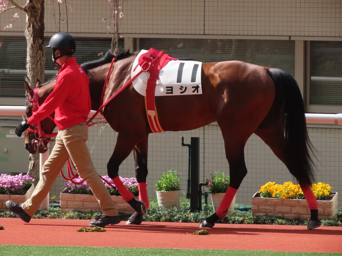 f:id:MakiTakatsu1990:20210328133219j:plain
