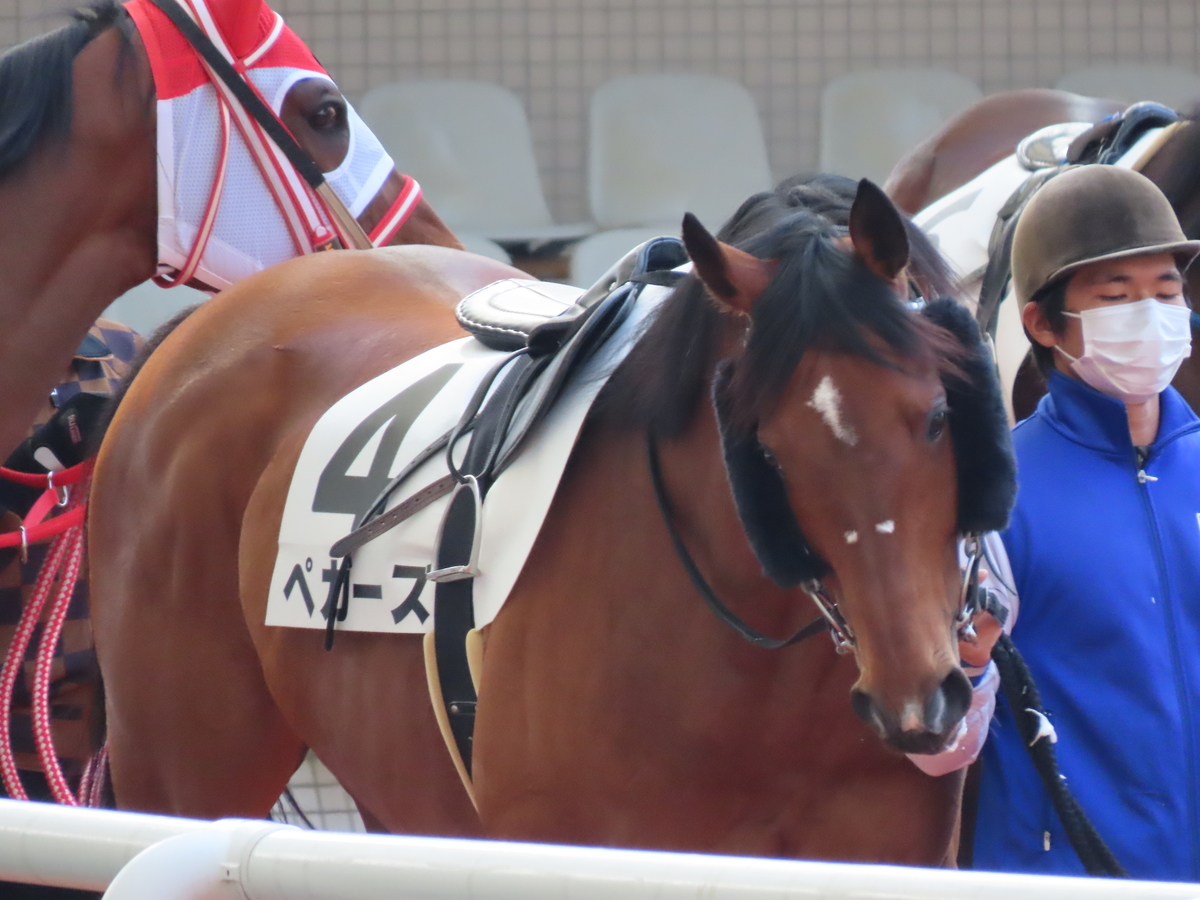 f:id:MakiTakatsu1990:20210328141350j:plain
