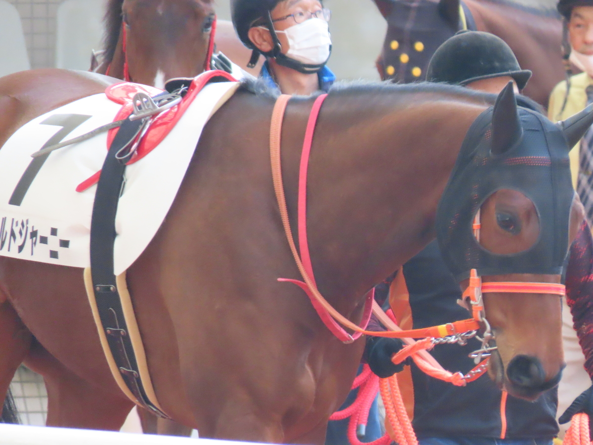 f:id:MakiTakatsu1990:20210328144559j:plain