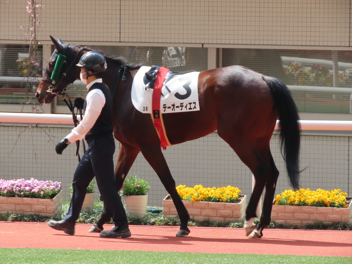 f:id:MakiTakatsu1990:20210328163337j:plain