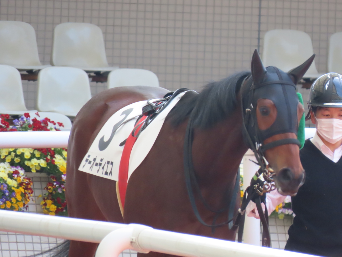 f:id:MakiTakatsu1990:20210328163349j:plain
