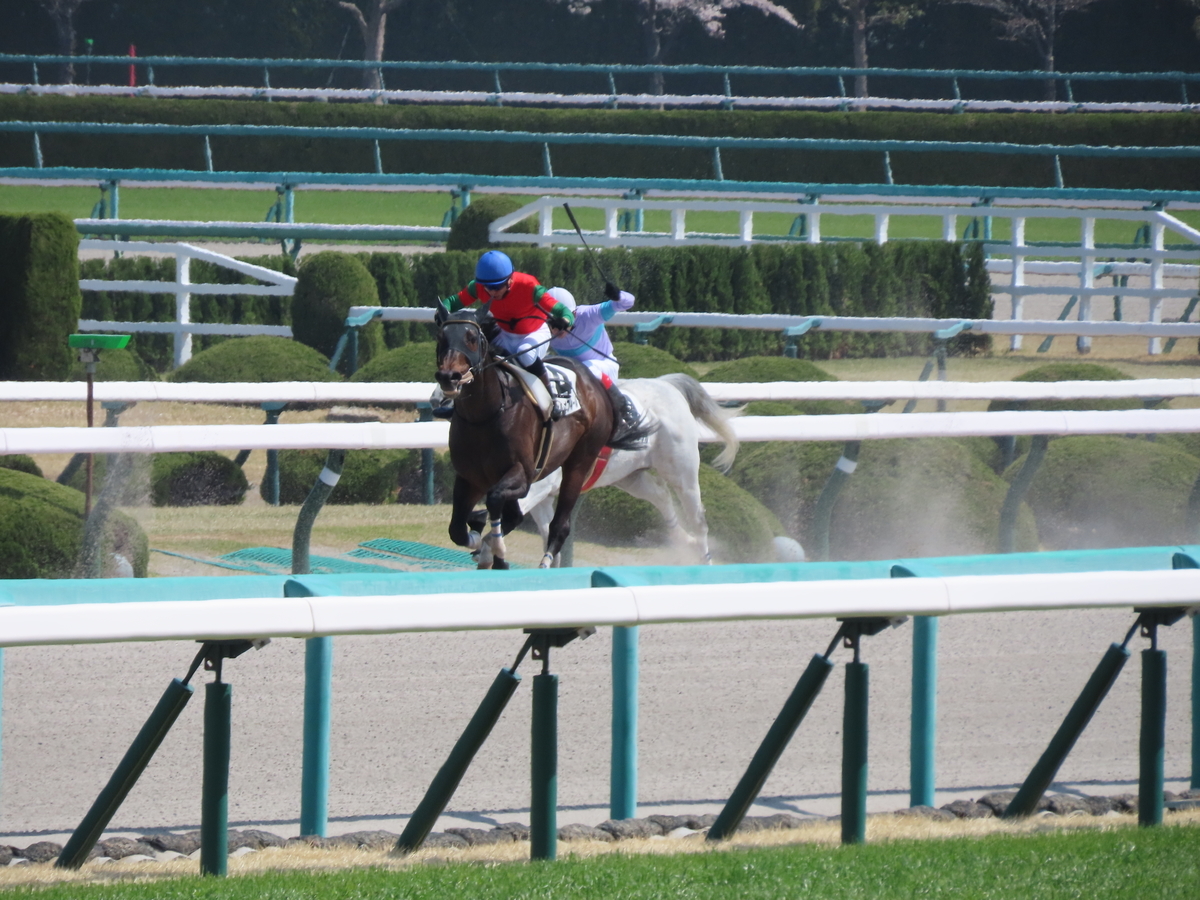 f:id:MakiTakatsu1990:20210328193440j:plain