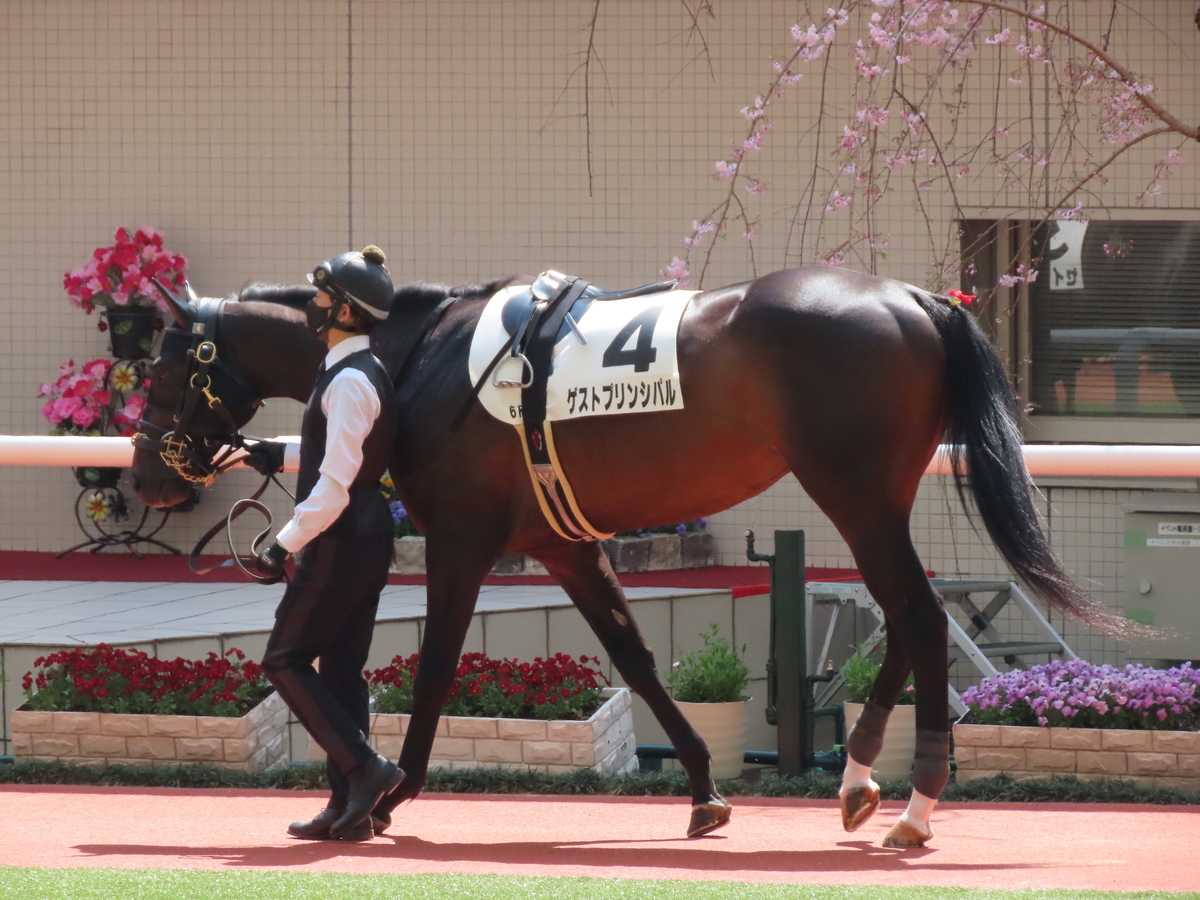 f:id:MakiTakatsu1990:20210328230437j:plain