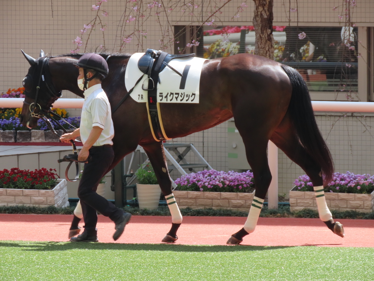 f:id:MakiTakatsu1990:20210328232348j:plain