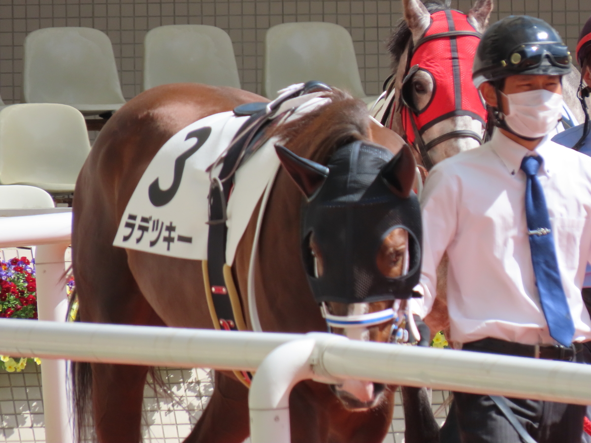 f:id:MakiTakatsu1990:20210328234146j:plain