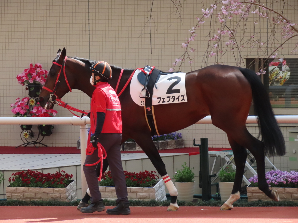 f:id:MakiTakatsu1990:20210328234212j:plain