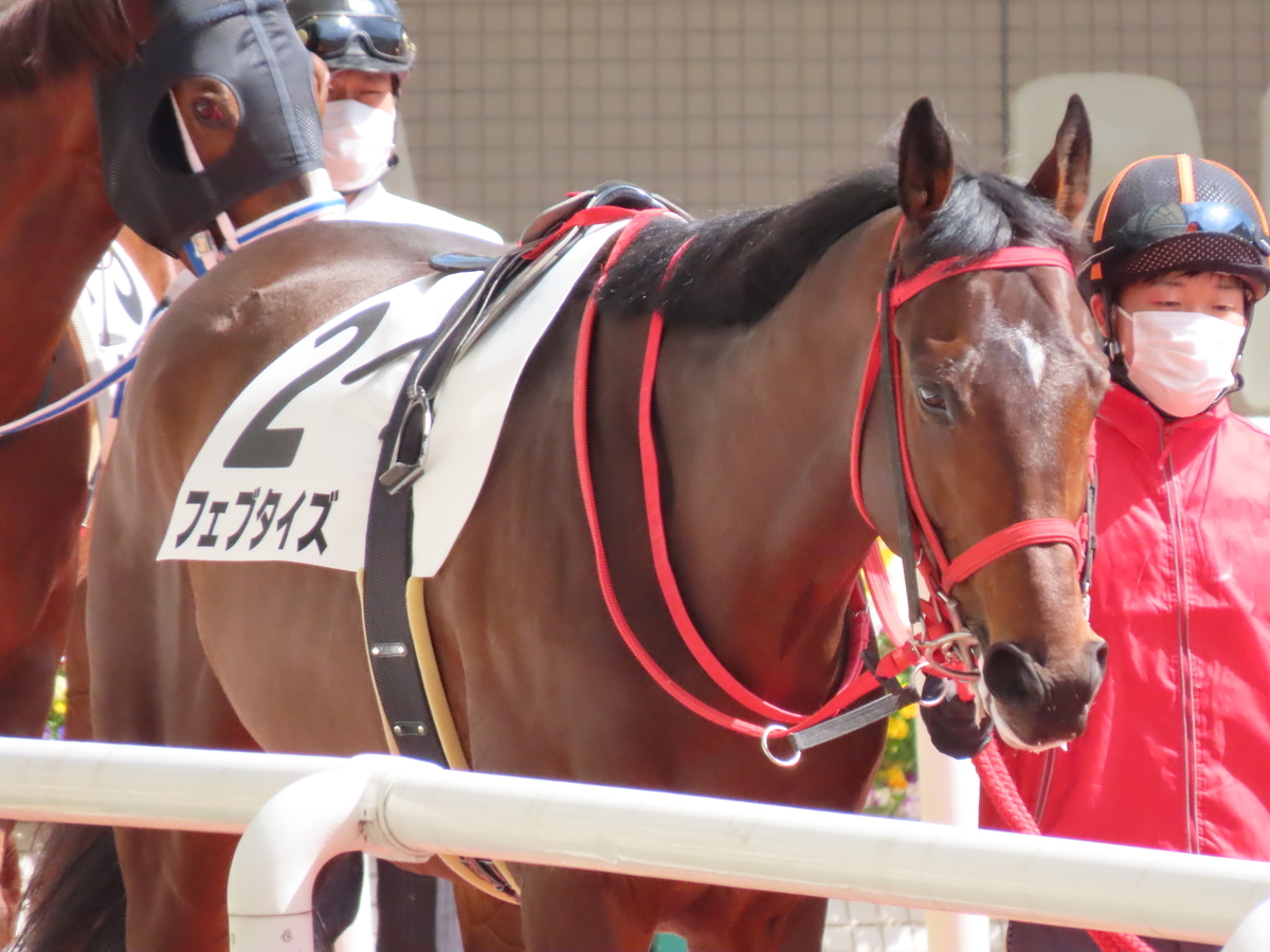f:id:MakiTakatsu1990:20210328234220j:plain