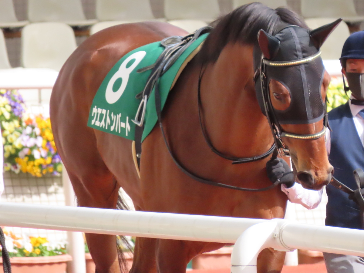 f:id:MakiTakatsu1990:20210329002628j:plain
